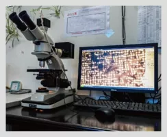 显微镜  Microscope